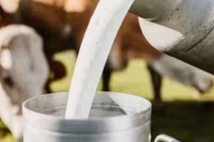 यूपी में पशुपालन को बढ़ाव,28 दिन में होगी गर्भ जांच, किसानों को मिलेगा बड़ा फायदा