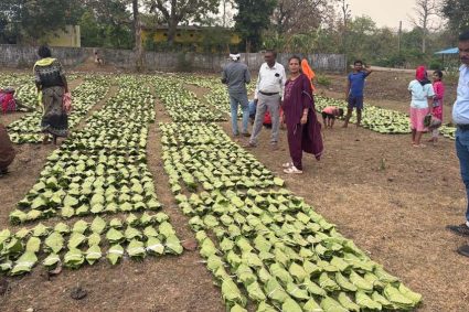 हरा सोना संग्राहकों की आय बढ़ाने के लिए बड़ा कदम, 920 करोड़ रुपए का होगा संभावित भुगतान