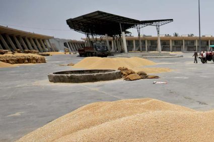 बेमौसम बारिश से परेशान गेहूं किसानों को डबल इंजन सरकार ने दी बड़ी सुविधा