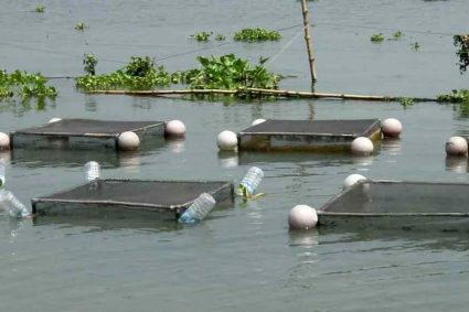 अम्बिकापुर : मत्स्य पालन हेतु जलाशयों का 10 वर्षीय लीज आबंटन के लिए आवेदन आमंत्रित