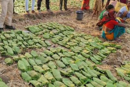 बालोद : मई के पहले सप्ताह से शुरू होगा तेंदुपत्ता संग्रहण का कार्य