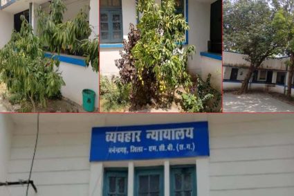 हरियाली की गोद में न्याय का मंदिर:मनेन्द्रगढ़ न्यायालय परिसर बना प्रकृति का मनमोहक आंगन