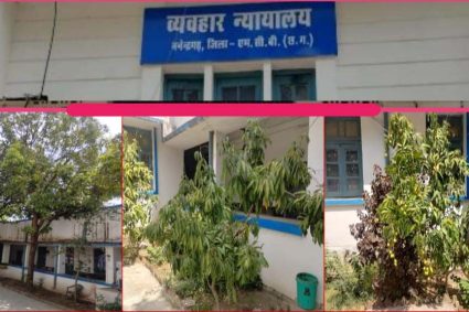 हरियाली से महका मनेन्द्रगढ़ न्यायालय परिसर, फलदार वृक्ष बने आकर्षण का केंद्र