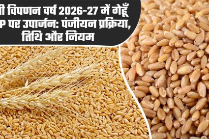 मध्‍यम एवं बड़े कृषकों को गेहूं विक्रय करने के लिये स्‍लॉट बुकिंग की सुविधा प्रारंभ
