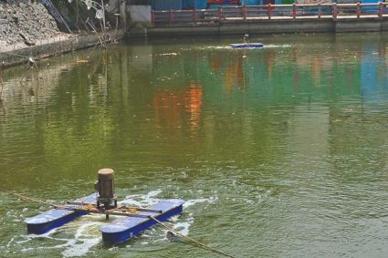 तालाबों की गुणवत्ता सुधारने के लिए निगम की नई पहल, नैनो एरेटर तकनीक से 10 दिन में दिखा असर