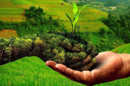 प्राकृतिक खेती से बेहतर आय अर्जित कर रहे 2.60 लाख किसान