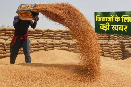 प्रदेश में किसानों के लिए खुशखबरी, गेहूं उपार्जन की तारीख बढ़ी, जानें नया अपडेट