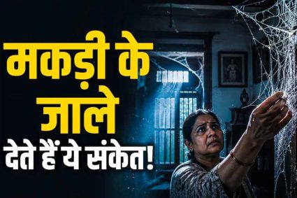 घर में मकड़ी के जाले सिर्फ गंदगी नहीं, वास्तु में माने जाते हैं अशुभ संकेत