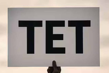 झारखंड शिक्षक पात्रता परीक्षा 2026 का विज्ञापन भाषा विवाद के कारण रद्द होने की संभावना