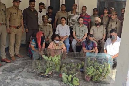 जगदलपुर में वन विभाग टीम पर हमला, तोतों की अवैध बिक्री पर कार्रवाई के दौरान हंगामा