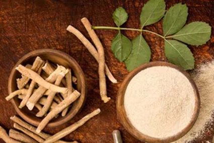 FSSAI का बड़ा फैसला: अश्वगंधा की पत्तियों पर रोक क्यों? जानें जड़ के फायदे और नुकसान