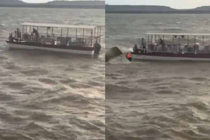 बरगी डैम में बड़ा हादसा: क्रूज पलटा, 4 की मौत; 14 को बचाया गया, रेस्क्यू जारी