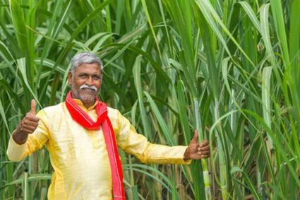 योगी सरकार में गन्ना किसानों की आय 52 हजार से बढ़कर 1.20 लाख रुपये हुई: कृषि मंत्री