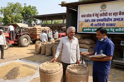 मध्य प्रदेश में गेहूं खरीदी पर बड़ा फैसला: 50% तक चमकविहीन अनाज भी खरीदेगी सरकार