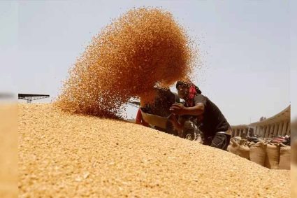 मुख्यमंत्री ने गेहूं खरीद में किसानों को दी बड़ी राहत