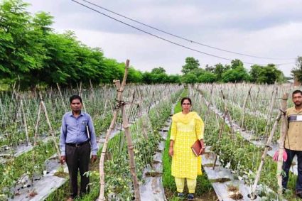 राष्ट्रीय कृषि विकास योजना: ईश्वरी प्रसाद ने टमाटर उत्पादन से कमाए 02 लाख 90 हजार रूपए