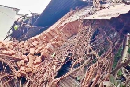 बिहार में आंधी-बारिश और ओलावृष्टि से 13 की मौत, कई जिलों में तबाही